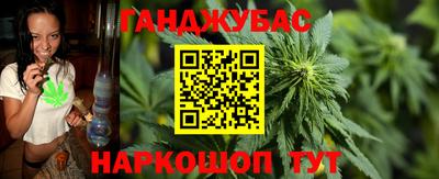 молекула духа Будённовск