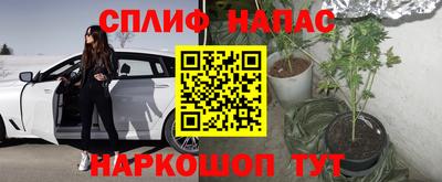 ГАЛЛЮЦИНОГЕННЫЕ ГРИБЫ Бугуруслан