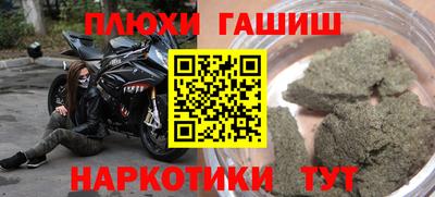 молекула духа Будённовск