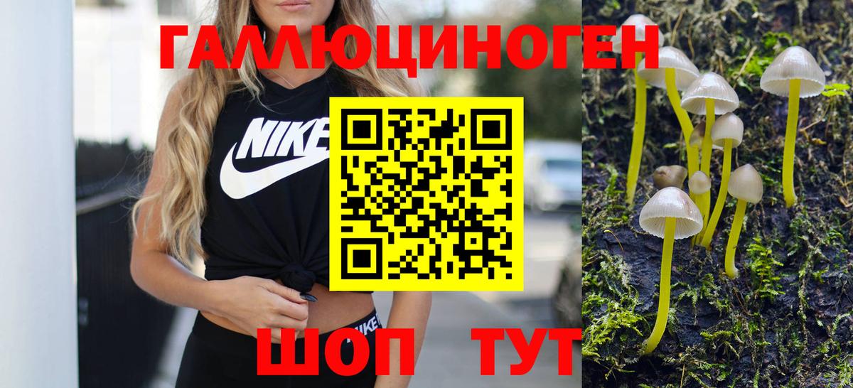 Псилоцибиновые грибы Psilocybine cubensis Моздок